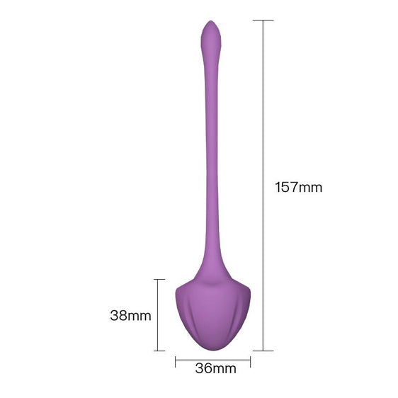 Kegel Ball Exercise Weights - Your Pleasure Toys